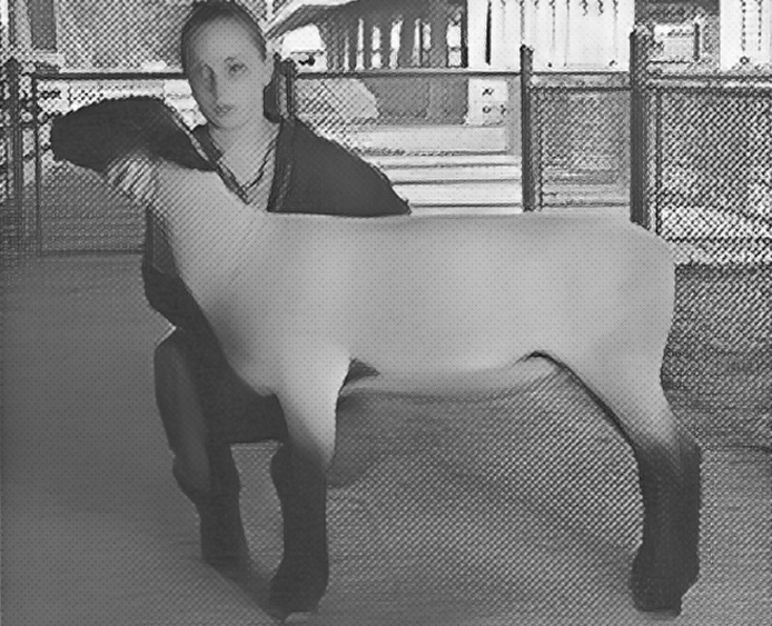 Showmanship - Good 2jpg